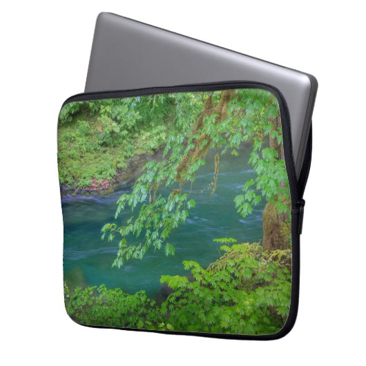 Olympic National Park Washington Staat Laptopschutzhülle (Vorderseite Links)