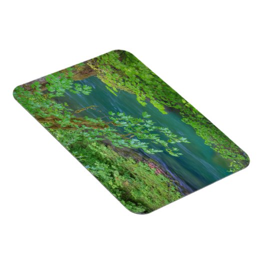 Olympic National Park Washington Staat Magnet (Rechte Seite)