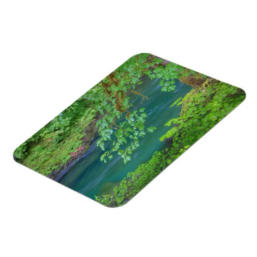 Olympic National Park Washington Staat Magnet (Linke Seite)