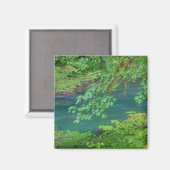 Olympic National Park Washington Staat Magnet (Vorderseite/Rückseite)