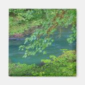 Olympic National Park Washington Staat Magnet (Vorne)