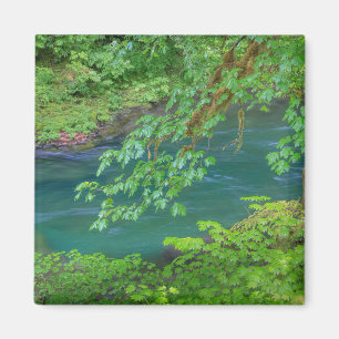 Olympic National Park Washington Staat Magnet