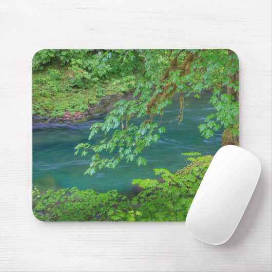 Olympic National Park Washington Staat Mousepad (Mit Mouse)