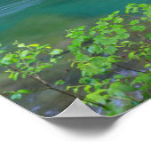 Olympic National Park Washington Staat Poster (Ecke)