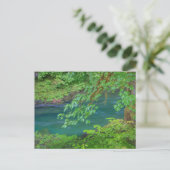 Olympic National Park Washington Staat Postkarte (Stehend Vorderseite)