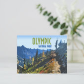 Olympic National Park Washington Staat Vintag Postkarte (Stehend Vorderseite)