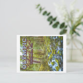 OLYMPIC NATIONAL PARK - WASHINGTON VEREINIGTE STAA POSTKARTE (Stehend Vorderseite)