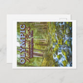 OLYMPIC NATIONAL PARK - WASHINGTON VEREINIGTE STAA POSTKARTE (Vorne/Hinten)