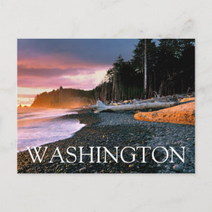 Olympic-Nationalpark Bundesstaat Washington Dank Postkarte