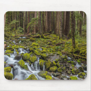 Olympic-Nationalpark, Bundesstaat Washington Mousepad