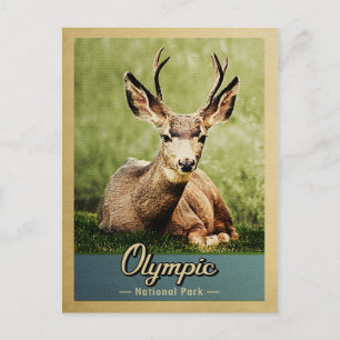 Olympic-Nationalpark Vintagehirsch Postkarte