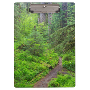 Olympic-Nationalpark, Waldweg Klemmbrett