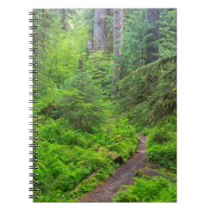 Olympic-Nationalpark, Waldweg Notizblock