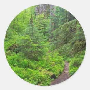 Olympic-Nationalpark, Waldweg Runder Aufkleber