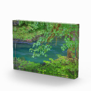 Olympic-Nationalpark Washington State Fotoblock