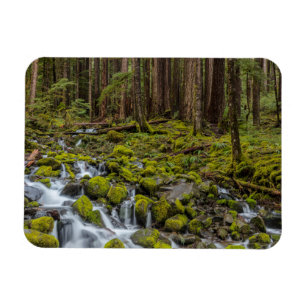Olympic-Nationalpark, Washington State Magnet