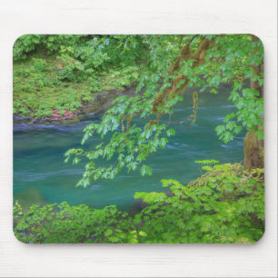 Olympic-Nationalpark Washington State Mousepad
