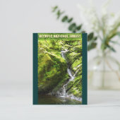 OLYMPIC NAT'L FOREST Waterfall Postkarte (Stehend Vorderseite)