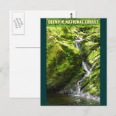 OLYMPIC NAT'L FOREST Waterfall Postkarte (Vorne/Hinten)