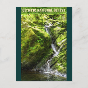 OLYMPIC NAT'L FOREST Waterfall Postkarte