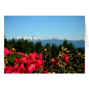 Olympische Berge und Rododenronen