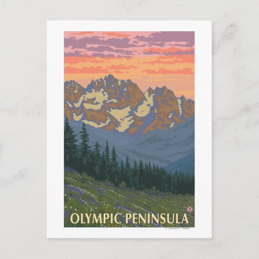 Olympische Halbinsel, Blume des Washingtoner Frühl Postkarte (Vorderseite)