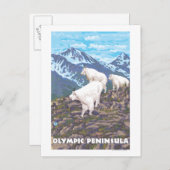 Olympische Halbinsel, WashingtonBergziegen Postkarte (Vorne/Hinten)