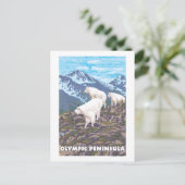 Olympische Halbinsel, WashingtonBergziegen Postkarte (Stehend Vorderseite)