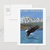 Olympische Halbinsel, WashingtonFischereiadler Postkarte (Vorne/Hinten)