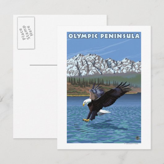 Olympische Halbinsel, WashingtonFischereiadler Postkarte (Vorne/Hinten)