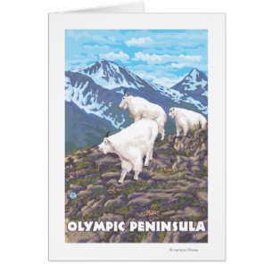 Olympische Halbinsel, WashingtonMountain Ziegen