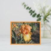 Olympische Herausforderung Postkarte (Stehend Vorderseite)