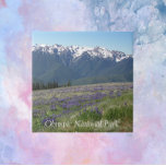 Olympischer Nationalpark Berge und Wiesen Fliese<br><div class="desc">Keramik Kachel mit einem landschaftlichen Landschaftsbild Foto der schneebedeckten olympischen Berge und Wiesen-Wildblumen im Olympischen Nationalpark,  Washington. Wählen Sie Ihre Kachelgröße aus. Macht ein tolles Reise-Souvenir-Trivet!</div>