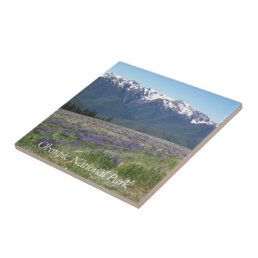 Olympischer Nationalpark Berge und Wiesen Fliese (Seite)