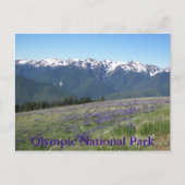 Olympischer Nationalpark Berge und Wiesen Postkarte (Vorderseite)
