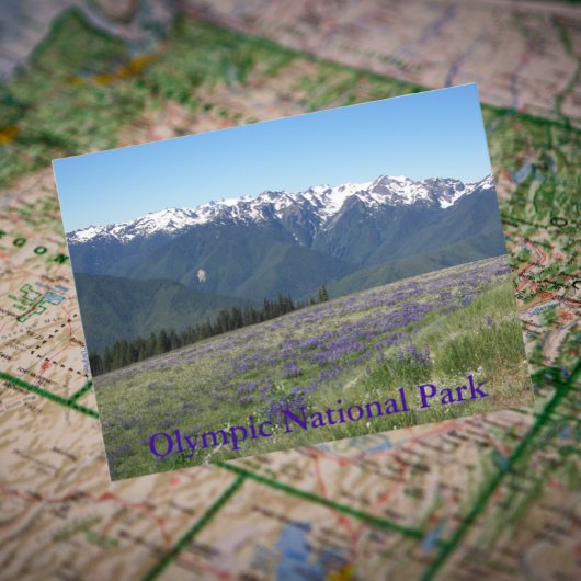 Olympischer Nationalpark Berge und Wiesen Postkarte
