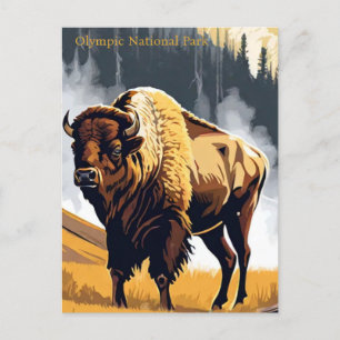 Olympischer Nationalpark Bison Buffalo Postkarte
