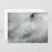 Olympischer Nationalpark | Hoh River Valley Postkarte (Vorne/Hinten)