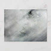 Olympischer Nationalpark | Hoh River Valley Postkarte (Vorderseite)