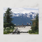 Olympischer Nationalpark Hurricane Ridge Travel Fo Postkarte (Vorderseite)