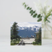 Olympischer Nationalpark Hurricane Ridge Travel Fo Postkarte (Stehend Vorderseite)