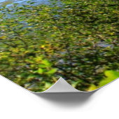 Olympischer Nationalpark, Landschaftsfotografie Poster (Ecke)