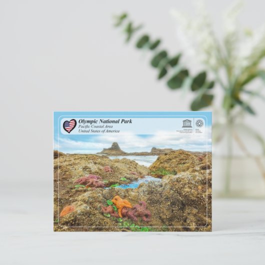 Olympischer Nationalpark - Pazifisches Küstengebie Postkarte (Stehend Vorderseite)