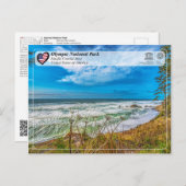 Olympischer Nationalpark - Pazifisches Küstengebie Postkarte (Vorne/Hinten)