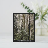 Olympischer Nationalpark Postkarte (Stehend Vorderseite)