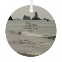 Olympischer Nationalpark Seascape-Foto