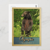 Olympischer Nationalpark Vintager Bär Postkarte (Vorne/Hinten)
