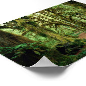 Olympischer Nationalpark, WA 2 Poster (Ecke)