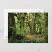 Olympischer Nationalpark, WA 2 Postkarte (Vorne/Hinten)