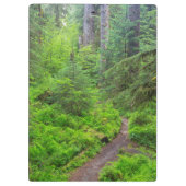 Olympischer Nationalpark, Waldweg Klemmbrett (Rückseite)